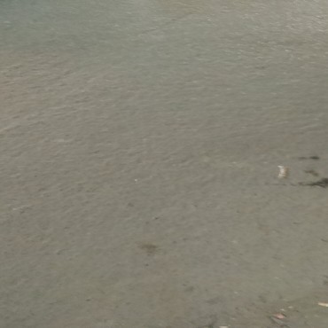 kite karnival Sehore